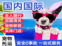 昌都邦达航空货运国际宠物托运 【国